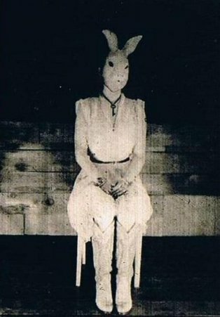 The Bunny Man